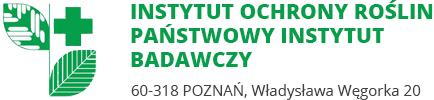 Fuzarioza kolb kukurydzy